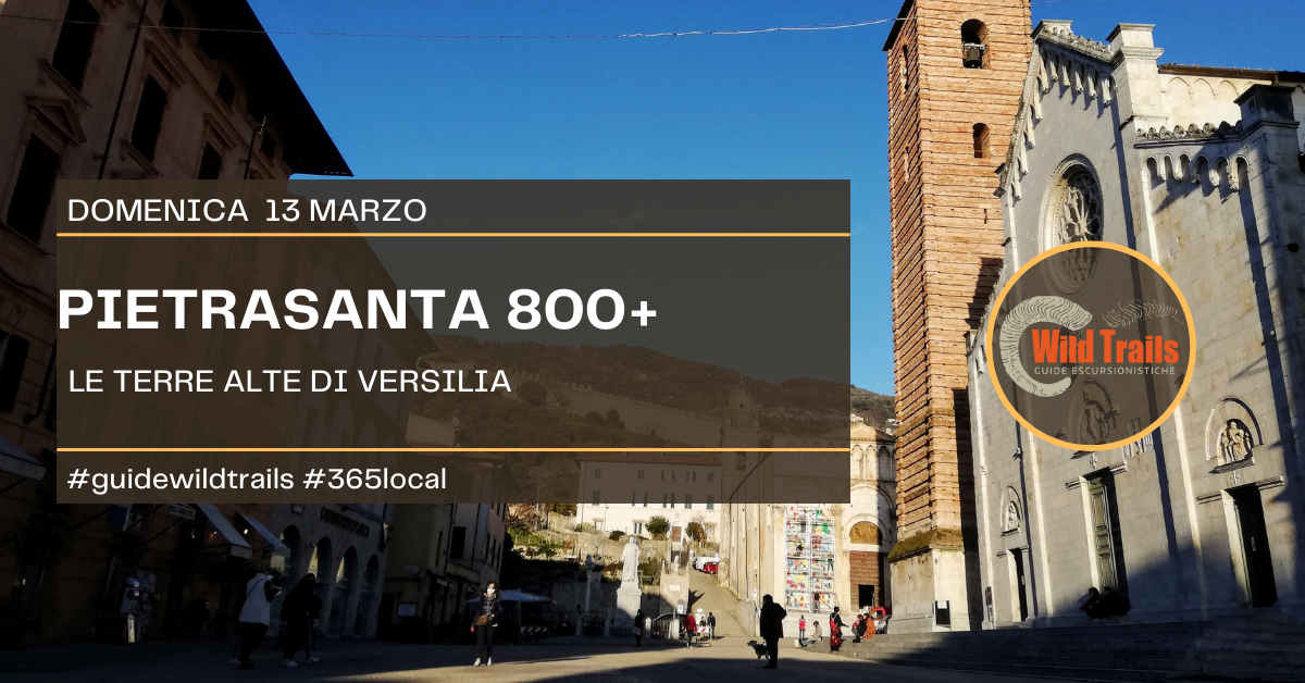 Pietrasanta - 800+